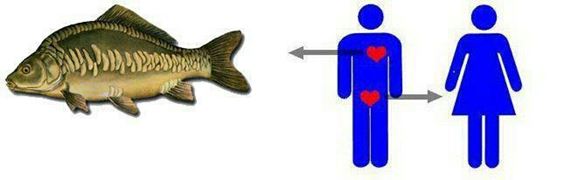 Funny fishing :)